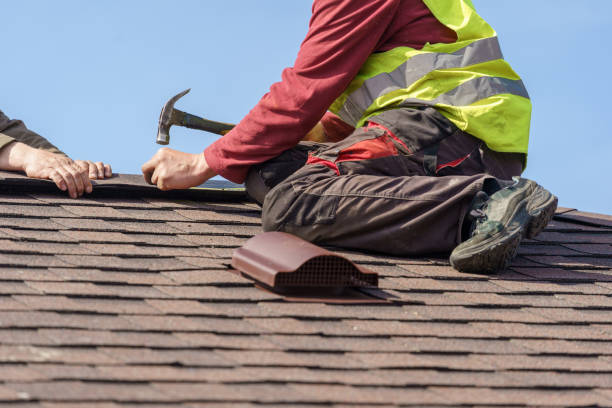 Best Commercial Roofing Services  in Vla Park, IL