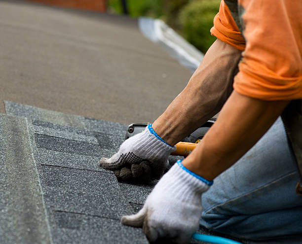 Best Best Roofing Contractors  in Vla Park, IL